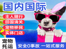 无锡航空货运国际宠物托运 【国